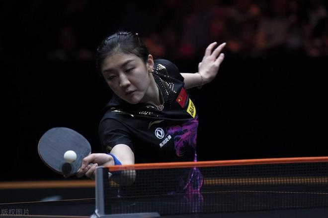 波兰裁判马 波兰裁判马