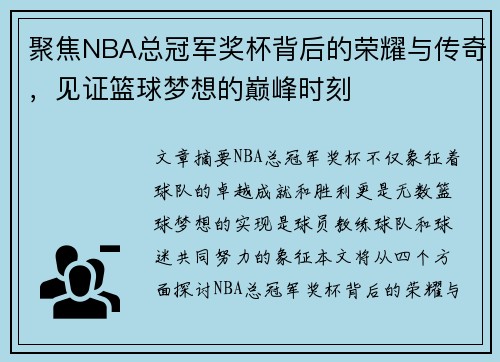 聚焦NBA总冠军奖杯背后的荣耀与传奇,见证篮球梦想的巅峰时刻